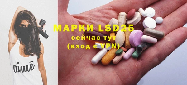 spice Аркадак