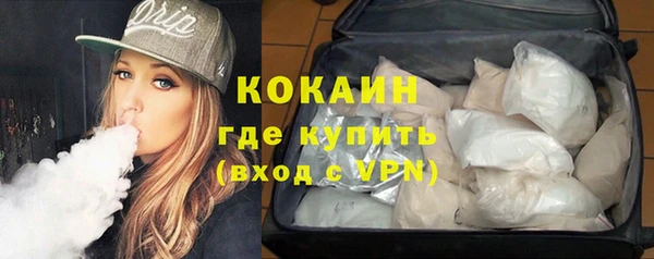 spice Аркадак