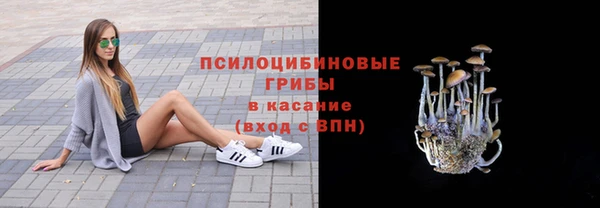 стафф Армянск