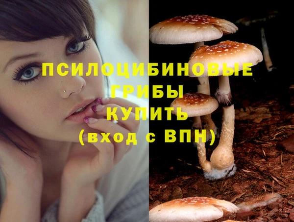 стафф Армянск