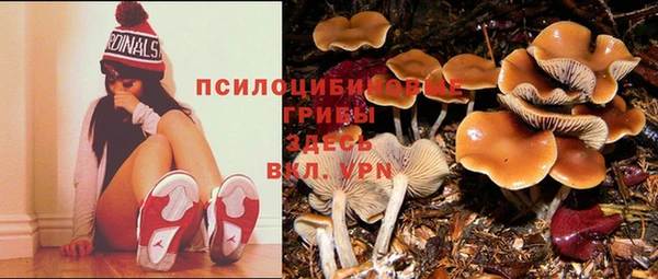 метадон Арсеньев